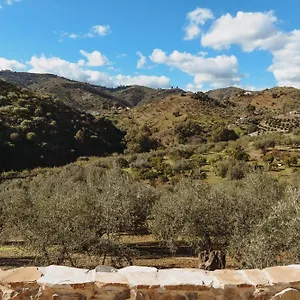 Elements , Comares Espagne